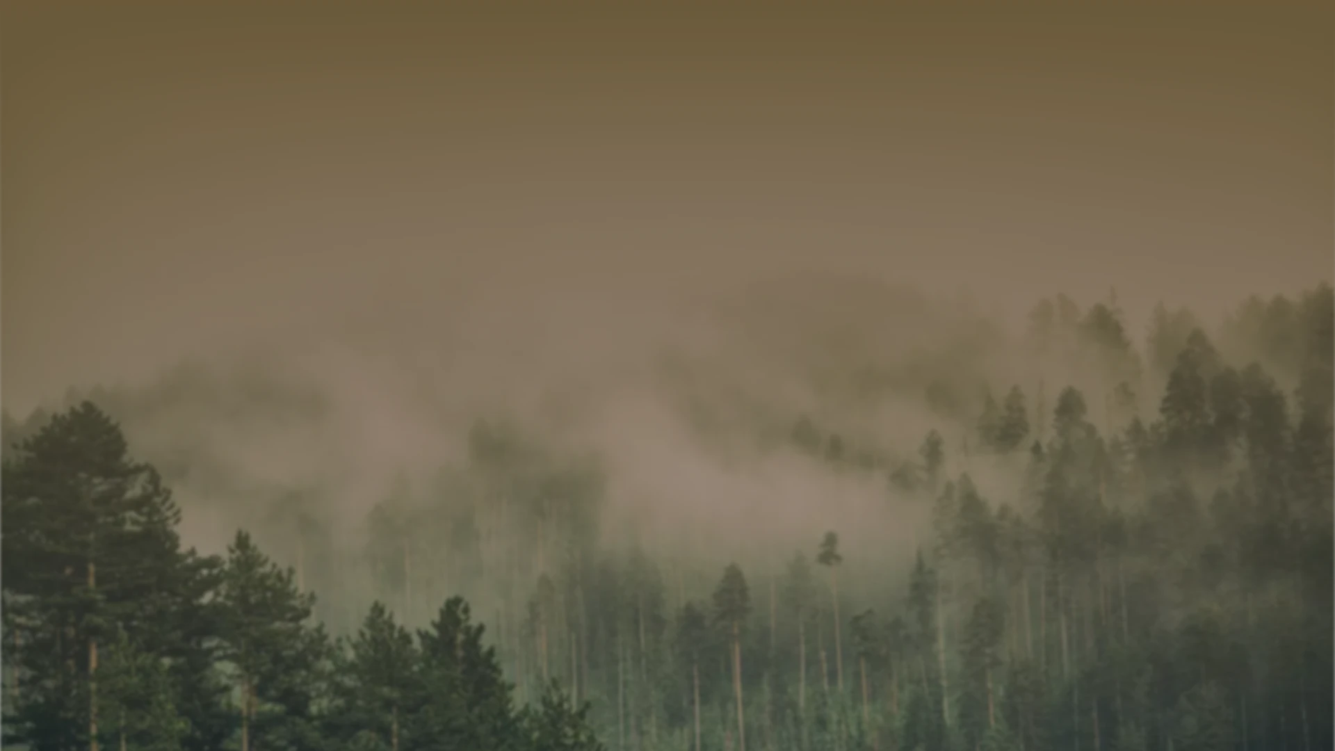 天陵園事業股份有限公司