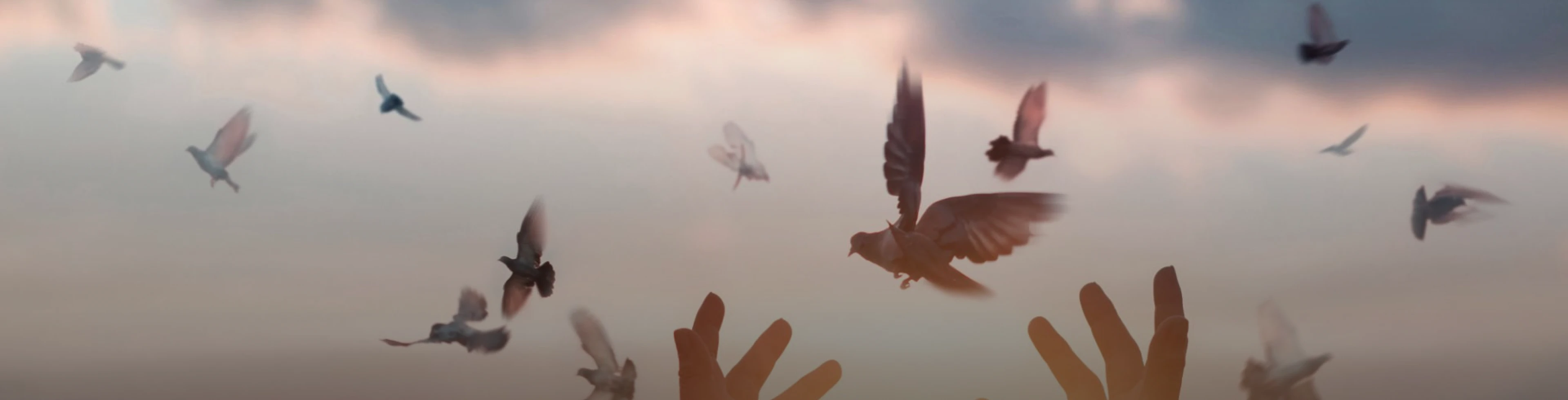 天陵園事業股份有限公司